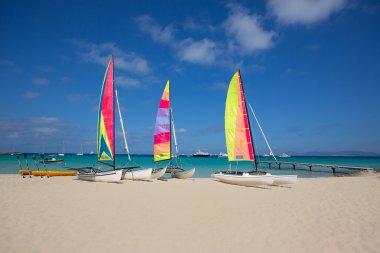 catamaran sailboats in Illetes Formentera beach clipart