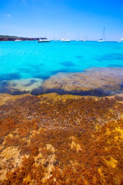 Formentera cala saona beach Balear Adaları