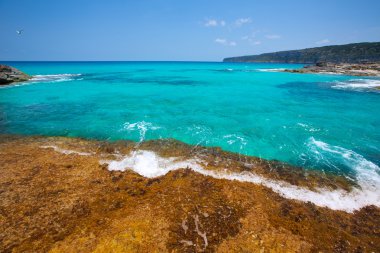 Formentera escalo de san agustin plaj