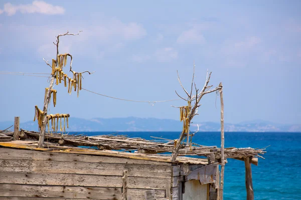 Peix sec è pesce essiccato al vento tipico delle Isole Baleari — Foto Stock