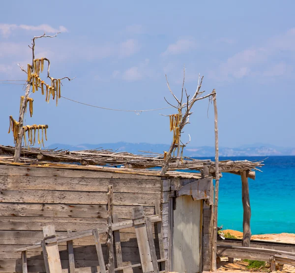 Peix sec est un poisson séché au vent typique des îles Baléares — Photo