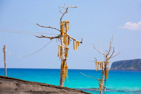 Peix sec é um peixe seco ao vento típico das Ilhas Baleares — Fotografia de Stock