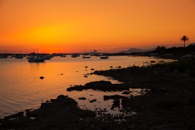 Formentera sunset in Estany des Peix with Ibiza Es vedra clipart