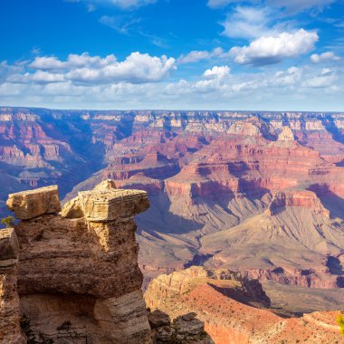 Arizona Büyük Kanyon Ulusal Parkı annesi bize gelin