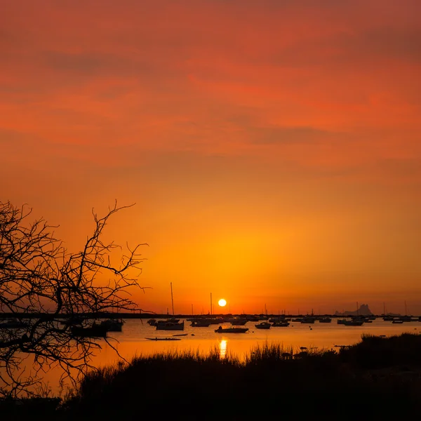 Formentera tramonto a Estany des Peix con Ibiza Es vedra — Foto Stock