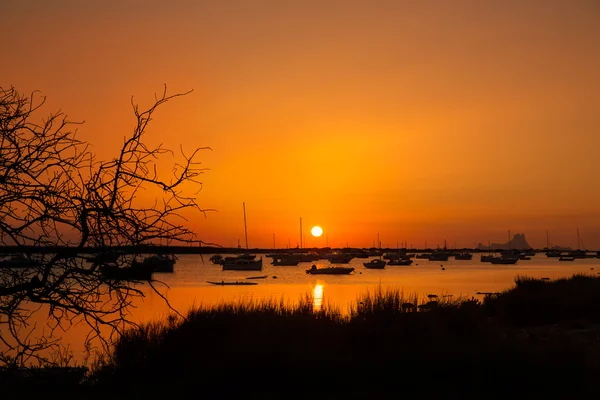 Formentera tramonto a Estany des Peix con Ibiza Es vedra — Foto Stock