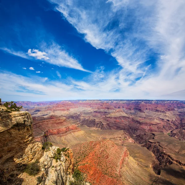 Arizona grand canyon nationalpark yavapai point — Stockfoto
