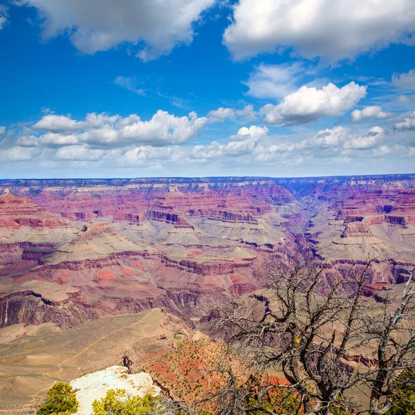 Arizona a grand canyon nemzeti park yavapai point — Stock Fotó
