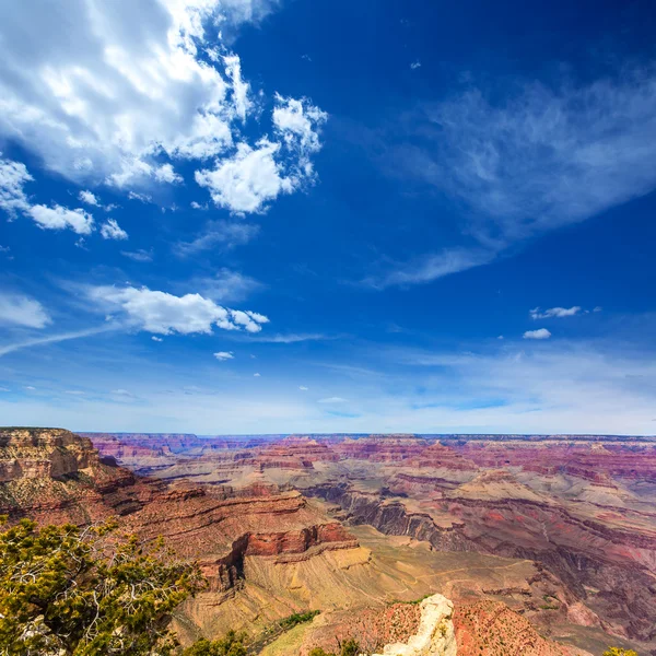 Arizona grand canyon national park yavapai pkt — Zdjęcie stockowe