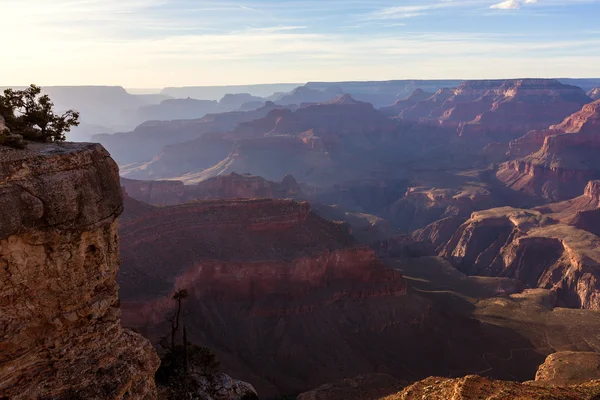 Arizona sunset grand canyon nationalpark yavapai point — Stockfoto