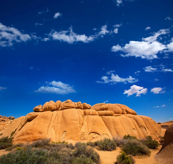 Joshua tree national park jumbo skały Juki Doliny Kalifornijskiej pustyni — Zdjęcie stockowe