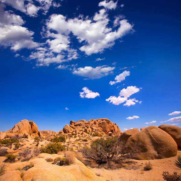 Pedra de crânio em Joshua tree National Park Mohave Califórnia — Fotografia de Stock