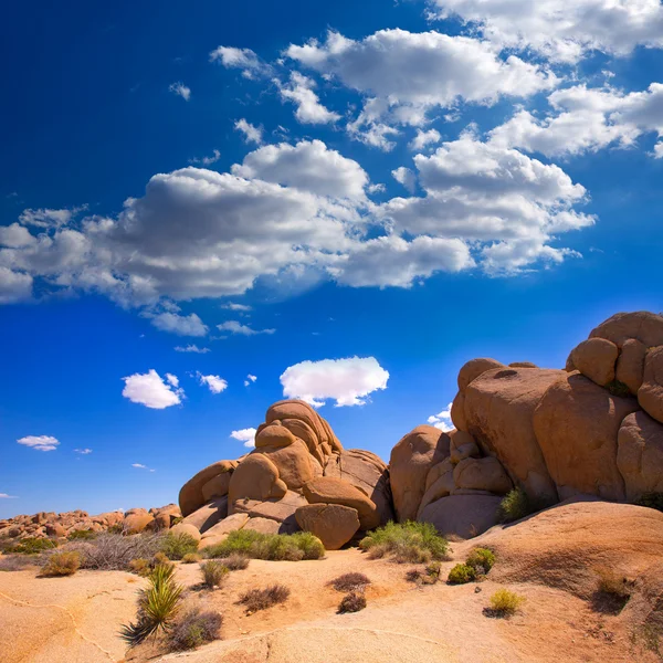 Roccia del cranio nel Joshua Tree National Park Mohave California — Foto Stock