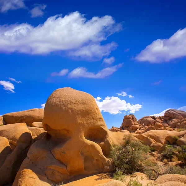 Roca del cráneo en el Parque Nacional Joshua Tree Mohave California — Foto de Stock