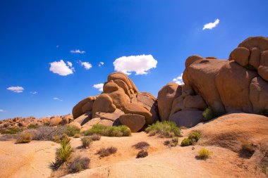 joshua tree national park mohave California Kurukafa rock