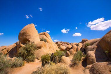 joshua tree national park mohave California Kurukafa rock