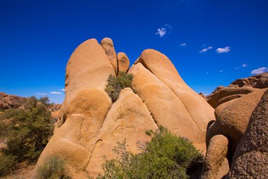 joshua tree national park mohave California Kurukafa rock