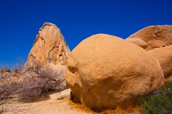 Joshua tree national park snijpunt rock california — Stockfoto