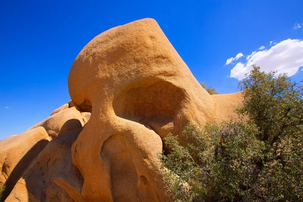 Skull rock in Joshua tree National Park Mohave California — Stock Photo, Image