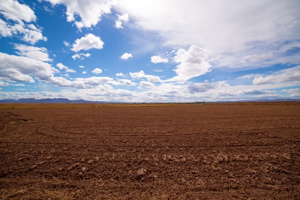 Cereal rice fields in fallow after harvest at Mediterranean — Stock Photo, Image