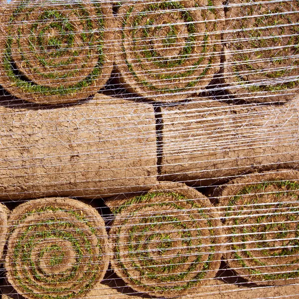 Naturligt gräs gräs gräsmatta i rullar staplade — Stockfoto