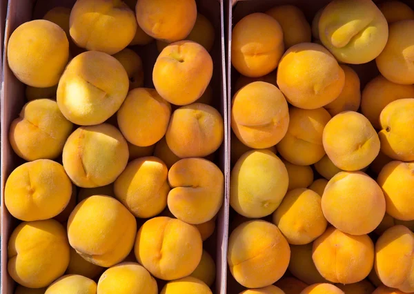 Calanda peaches rainfed from Teruel Spain — Stock Photo, Image