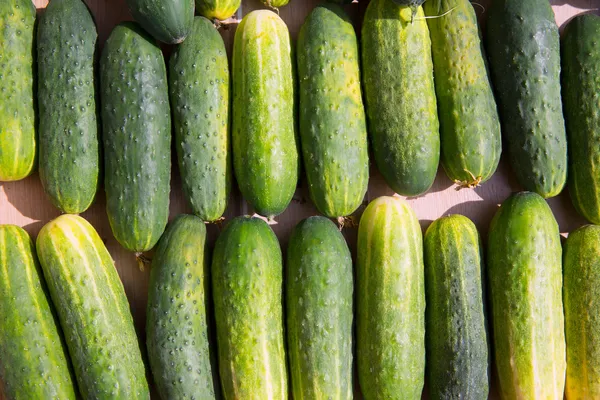 Cucumbers in a row at the market place — Stock Photo, Image