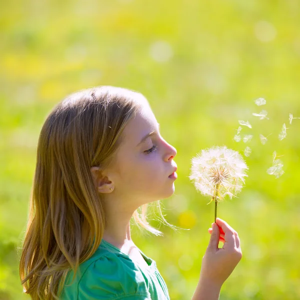 Blonďatý kluk holka foukání Pampeliška květin na zelené louce — Stock fotografie