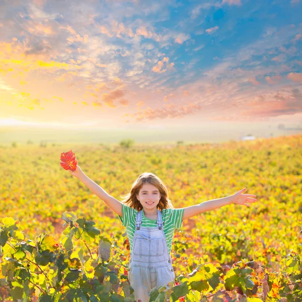 Niña en feliz otoño campo de viñedos brazos abiertos con hoja roja —  Fotos de Stock