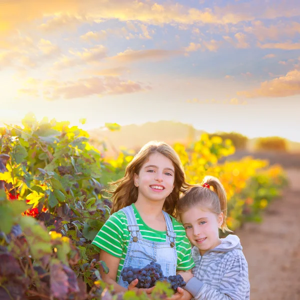 Hermana niño girs agricultor en viñedo cosecha en mediterráneo autu — Foto de Stock