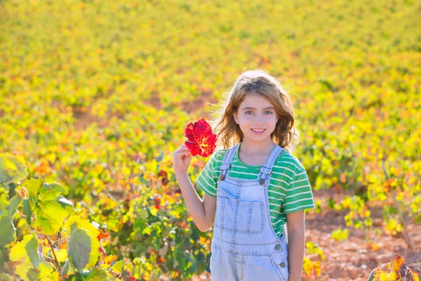 Kid girl in autumn vineyard field holding hand red leaf — Stock Photo, Image