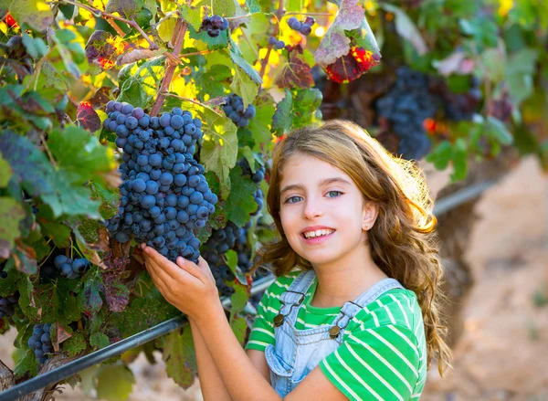 Boer jongen meisje in de wijngaard oogst herfst bladeren in mediterrane — Stockfoto