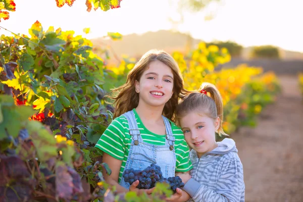 Hermana niño girs agricultor en viñedo cosecha en mediterráneo autu — Foto de Stock