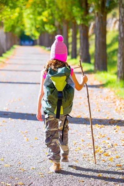 Hiking kid girl with walking stick and backpack rear view — Stock Photo, Image