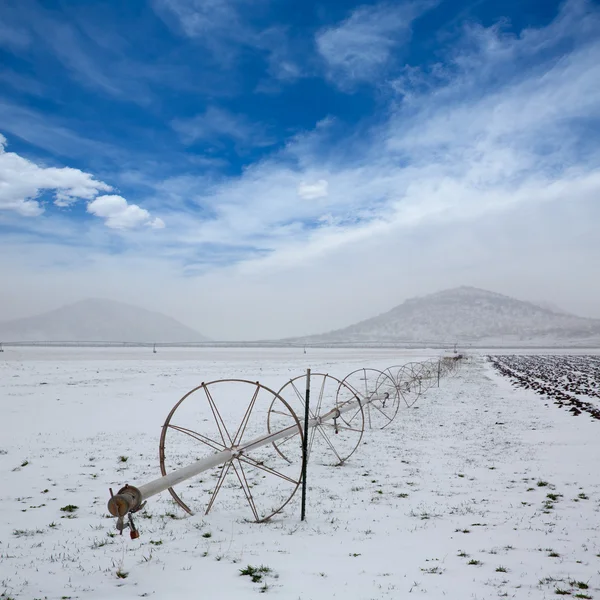 Cereal fields with irrigation wheels with snow in Nevada — Stock Photo, Image