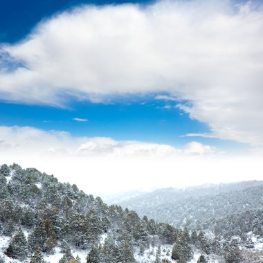 Nevada ABD bahar kar dağlarda