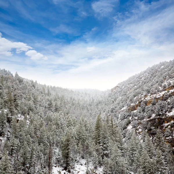 Nevada usa Lente sneeuw in de bergen — Stockfoto