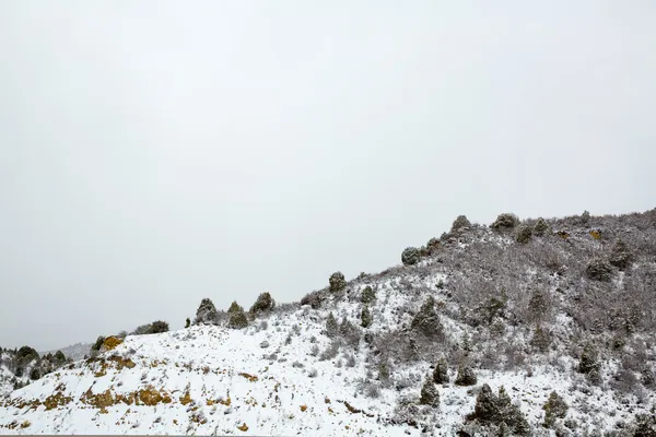 Nevada USA neige de printemps dans les montagnes — Photo