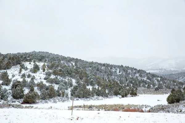 Nevada USA spring snow in the mountains — Stock Photo, Image