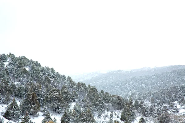 Nevada USA nieve primaveral en las montañas — Foto de Stock