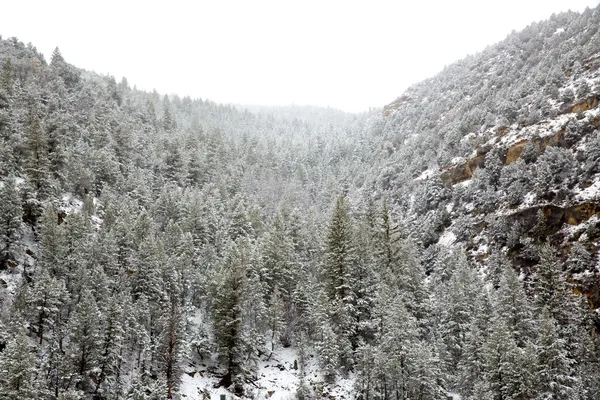 Nevada usa Lente sneeuw in de bergen — Stockfoto