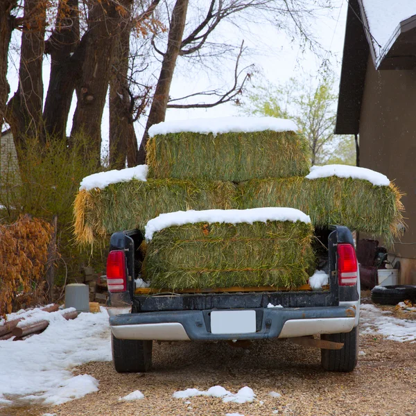 Snow straw bales truck in Nevada USA — Stock Photo, Image