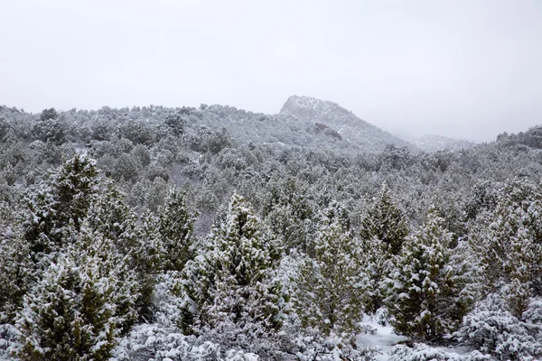 Nevada usa Lente sneeuw in de bergen — Stockfoto