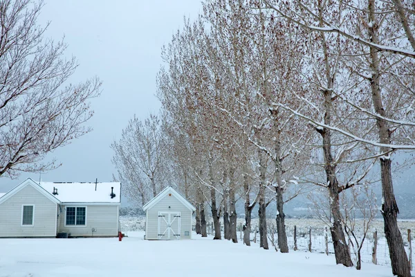 美国内华达州第一场雪在公园里 — 图库照片