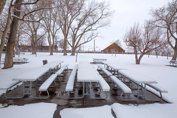 Nevada USA first snow in the park — Stock Photo, Image