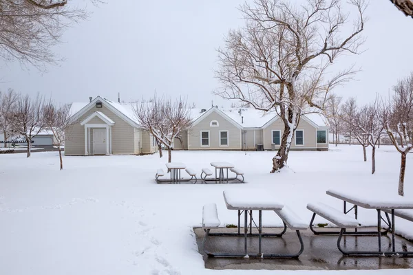 Nevada USA primera nieve en el parque —  Fotos de Stock