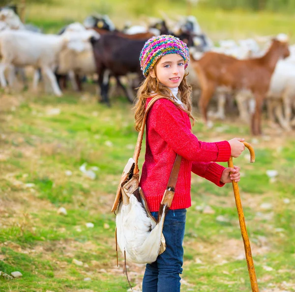 Niña pastora feliz con rebaño de ovejas y palo —  Fotos de Stock