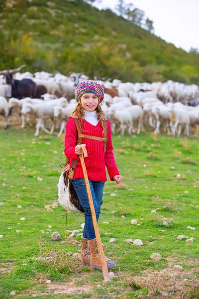 Kid girl shepherdess happy with flock of sheep and stick — Stock Photo, Image