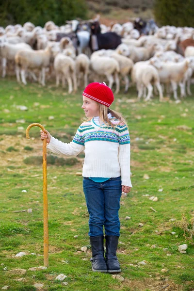Kid menina pastora feliz com rebanho de ovelhas e vara — Fotografia de Stock