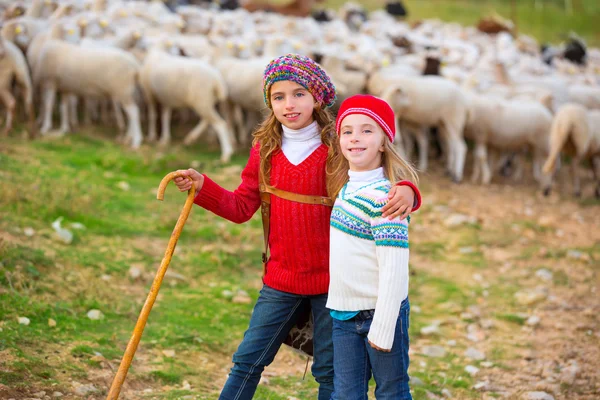 女孩牧羊女妹妹高兴与一群羊和棍子 — 图库照片